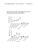 METHODS AND COMPOSITIONS FOR VIRAL VECTORED VACCINES diagram and image