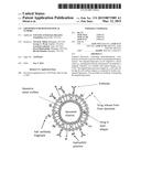 LIPOSOMES FOR HEMATOLOGICAL TUMORS diagram and image