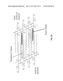 LIPOSOMES FOR HEMATOLOGICAL TUMORS diagram and image