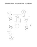 LIPOSOMES FOR HEMATOLOGICAL TUMORS diagram and image