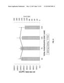 LIPOSOMES FOR HEMATOLOGICAL TUMORS diagram and image