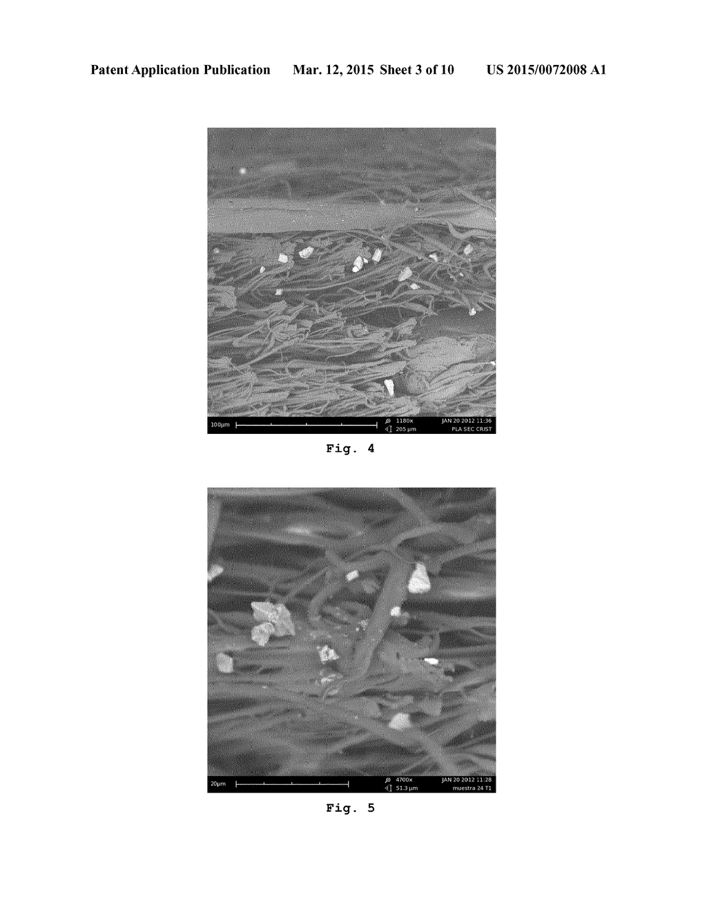 NONWOVEN MEMBRANE AS A DRUG DELIVERY SYSTEM - diagram, schematic, and image 04