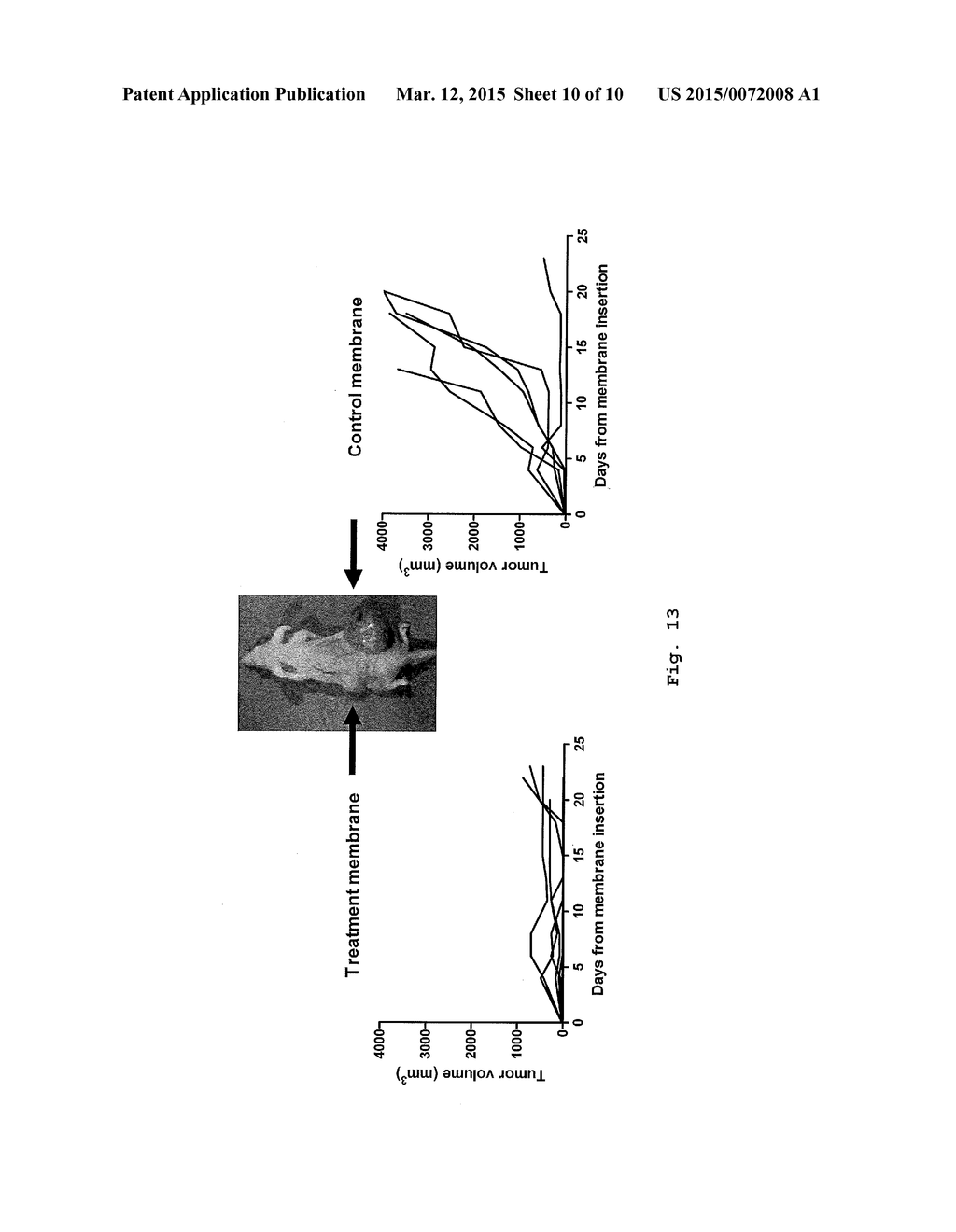 NONWOVEN MEMBRANE AS A DRUG DELIVERY SYSTEM - diagram, schematic, and image 11