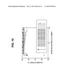 ALKALI METAL-SULFUR-BASED SECONDARY BATTERY diagram and image