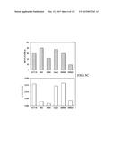 IDENTIFICATION OF METASTASIS-SPECIFIC MIRNA AND HYPOMETHYLATION SIGNATURES     IN HUMAN COLORECTAL CANCER diagram and image