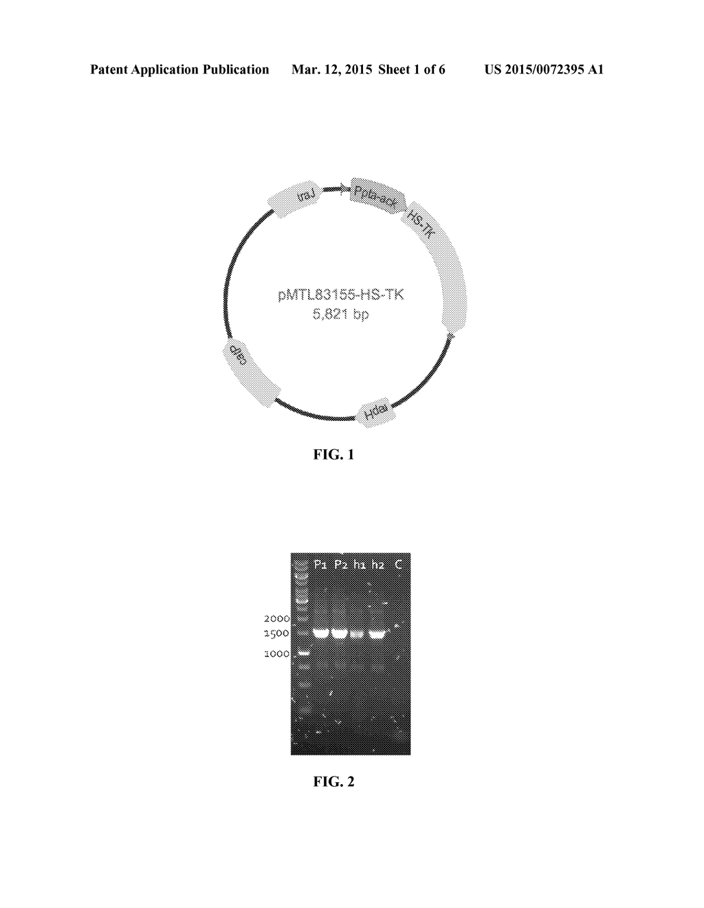 RECOMBINANT MICROORGANISMS AND METHODS OF USE THEREOF - diagram, schematic, and image 02