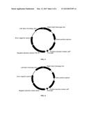 RECOMBINANT MICROORGANISMS AND METHODS OF USE THEREOF diagram and image