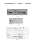 RECOMBINANT MICROORGANISMS AND METHODS OF USE THEREOF diagram and image