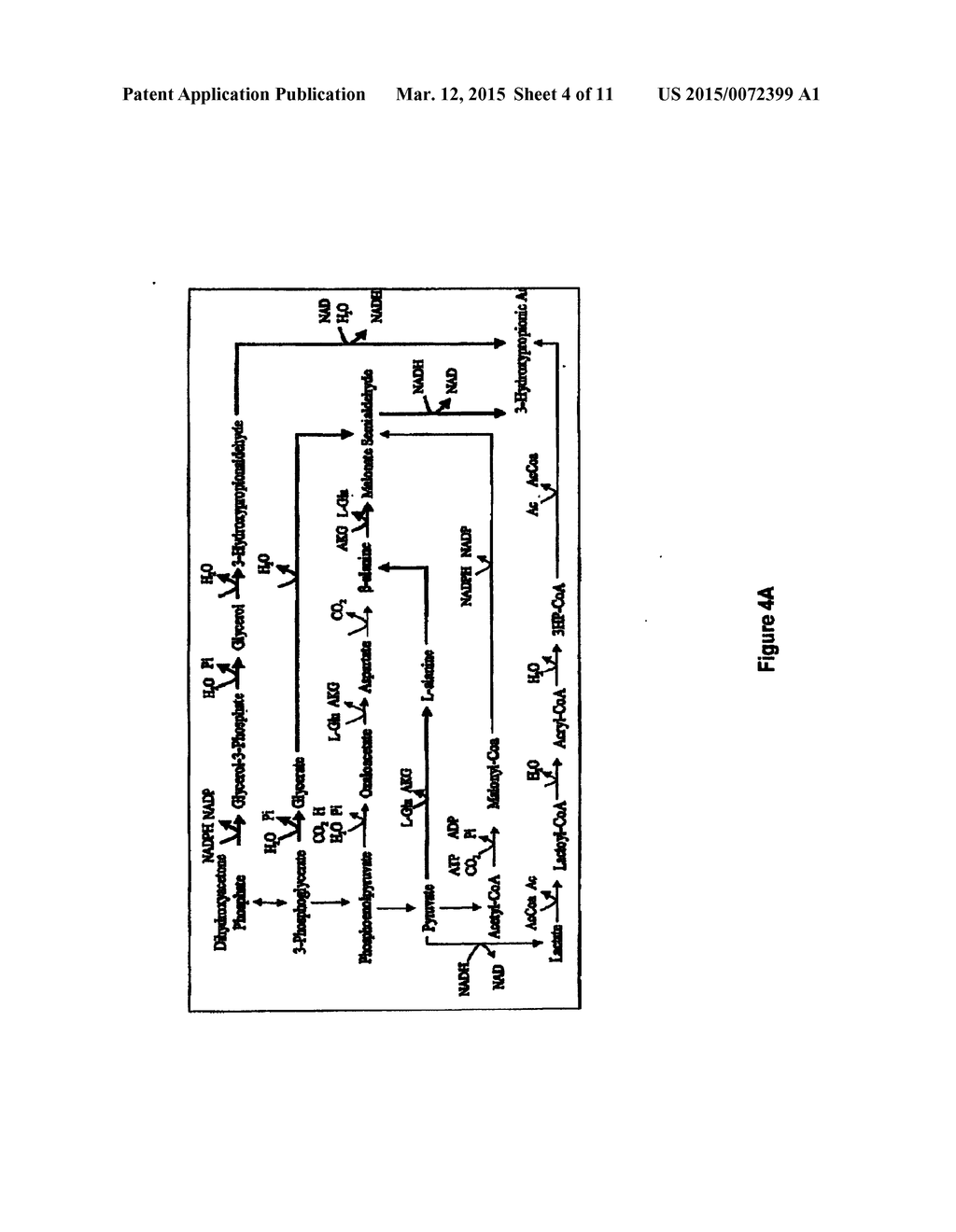 Methods, Systems And Compositions Related To Reduction Of Conversions Of     Microbially Produced 3-Hydroxypropionic Acid (3-HP) To Aldehyde     Metabolites - diagram, schematic, and image 05