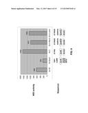 HCV GENOTYPE 4D REPLICONS diagram and image