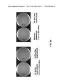 HCV GENOTYPE 4D REPLICONS diagram and image