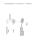 HCV GENOTYPE 4D REPLICONS diagram and image