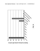 HCV GENOTYPE 4D REPLICONS diagram and image