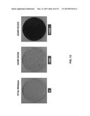 HCV GENOTYPE 4D REPLICONS diagram and image