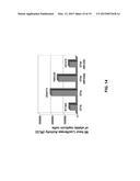 HCV GENOTYPE 4D REPLICONS diagram and image