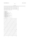 HCV GENOTYPE 4D REPLICONS diagram and image