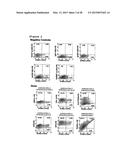 METHOD OF ENHANCING PROLIFERATION AND/OR SURVIVAL OF MESENCHYMAL PRECURSOR     CELLS (MPC) diagram and image