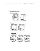 METHOD OF ENHANCING PROLIFERATION AND/OR SURVIVAL OF MESENCHYMAL PRECURSOR     CELLS (MPC) diagram and image