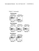 METHOD OF ENHANCING PROLIFERATION AND/OR SURVIVAL OF MESENCHYMAL PRECURSOR     CELLS (MPC) diagram and image