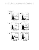 METHOD OF ENHANCING PROLIFERATION AND/OR SURVIVAL OF MESENCHYMAL PRECURSOR     CELLS (MPC) diagram and image