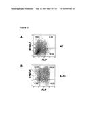 METHOD OF ENHANCING PROLIFERATION AND/OR SURVIVAL OF MESENCHYMAL PRECURSOR     CELLS (MPC) diagram and image