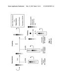 METHOD AND APPARATUS FOR PRODUCING SEQUENCE VERIFIED DNA diagram and image