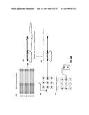 METHOD AND APPARATUS FOR PRODUCING SEQUENCE VERIFIED DNA diagram and image