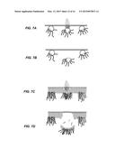 METHOD AND APPARATUS FOR PRODUCING SEQUENCE VERIFIED DNA diagram and image