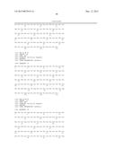 FIBRONECTIN BASED SCAFFOLD DOMAIN PROTEINS THAT BIND TO MYOSTATIN diagram and image