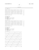 FIBRONECTIN BASED SCAFFOLD DOMAIN PROTEINS THAT BIND TO MYOSTATIN diagram and image