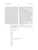 FIBRONECTIN BASED SCAFFOLD DOMAIN PROTEINS THAT BIND TO MYOSTATIN diagram and image