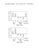 GLP-1, EXENDIN-4, PEPTIDE ANALOGS AND USES THEREOF diagram and image