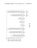 GLP-1, EXENDIN-4, PEPTIDE ANALOGS AND USES THEREOF diagram and image