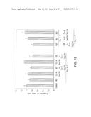 GLP-1, EXENDIN-4, PEPTIDE ANALOGS AND USES THEREOF diagram and image