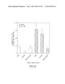 GLP-1, EXENDIN-4, PEPTIDE ANALOGS AND USES THEREOF diagram and image