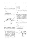 CATIONIC GRAFT-COPOLYMER FOR DRUG DELIVERY SYSTEM diagram and image