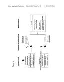 MATERIALS AND METHODS FOR SUPPRESSING AND/OR TREATING NEUROFIBROMA AND     RELATED TUMORS diagram and image