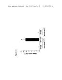 MATERIALS AND METHODS FOR SUPPRESSING AND/OR TREATING NEUROFIBROMA AND     RELATED TUMORS diagram and image