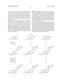 ROR MODULATORS AND THEIR USES diagram and image