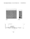 ALLIUM FISTULOSUM LEAF AGGLUTININ RECOMBINANT PROTEIN, ITS ENCODING     POLYNUCLEOTIDE, PRIMER AND PROCESS FOR PREPARATION THEREOF diagram and image