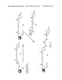 OLIGONUCLEOTIDE ANALOGUES HAVING MODIFIED INTERSUBUNIT LINKAGES AND/OR     TERMINAL GROUPS diagram and image