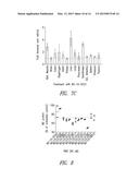 OLIGONUCLEOTIDE ANALOGUES HAVING MODIFIED INTERSUBUNIT LINKAGES AND/OR     TERMINAL GROUPS diagram and image