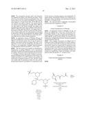 OLIGONUCLEOTIDE ANALOGUES HAVING MODIFIED INTERSUBUNIT LINKAGES AND/OR     TERMINAL GROUPS diagram and image