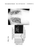 DYNAMIC DIAGNOSIS SUPPORT INFORMATION GENERATION SYSTEM diagram and image