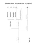 SYSTEMS AND METHODS FOR REVASCULARIZATION ASSESSMENT diagram and image