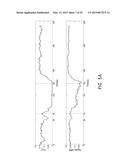 SYSTEMS AND METHODS FOR REVASCULARIZATION ASSESSMENT diagram and image