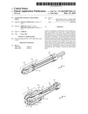 STAGED, BILATERALLY EXPANDABLE TRIAL diagram and image