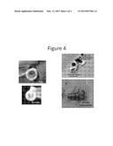 Tubular Porous Foam Scaffolds with Gradient Pores for Tissue Engineering diagram and image