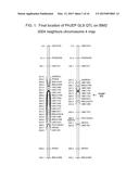 GRAY LEAF SPOT TOLERANT MAIZE AND METHODS OF PRODUCTION diagram and image