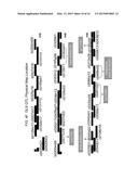 GRAY LEAF SPOT TOLERANT MAIZE AND METHODS OF PRODUCTION diagram and image